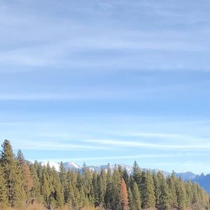 Meet your Posher, Mckenzie